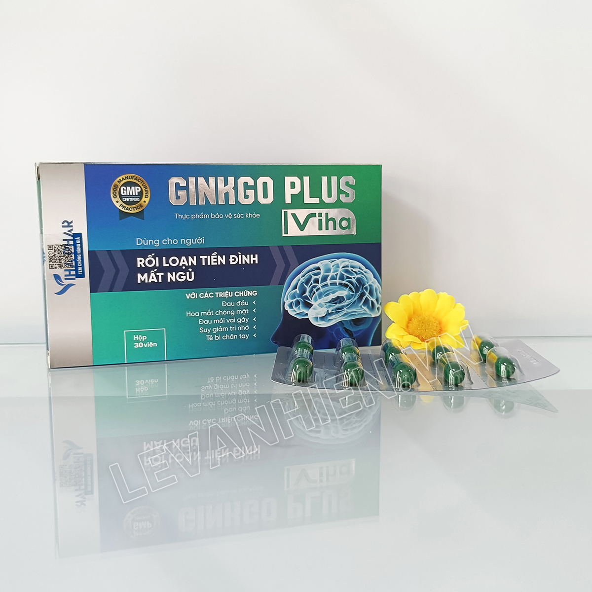 Hoạt huyết Ginkgo Plus Viha (3 vỉ x 10v)