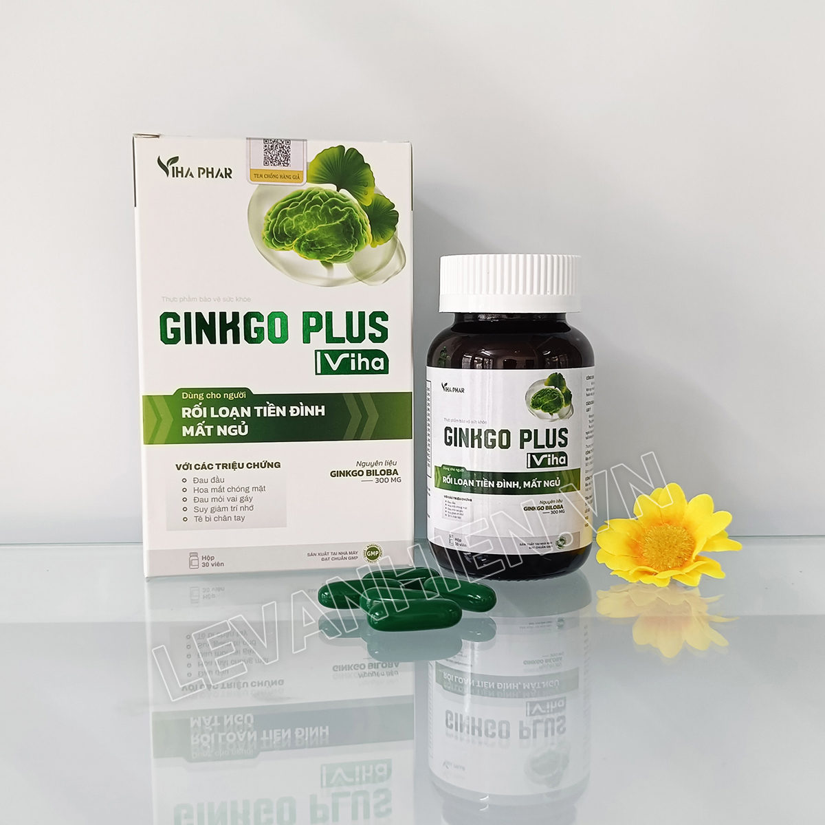 Hoạt huyết Ginkgo Plus Viha (lọ 30 viên)